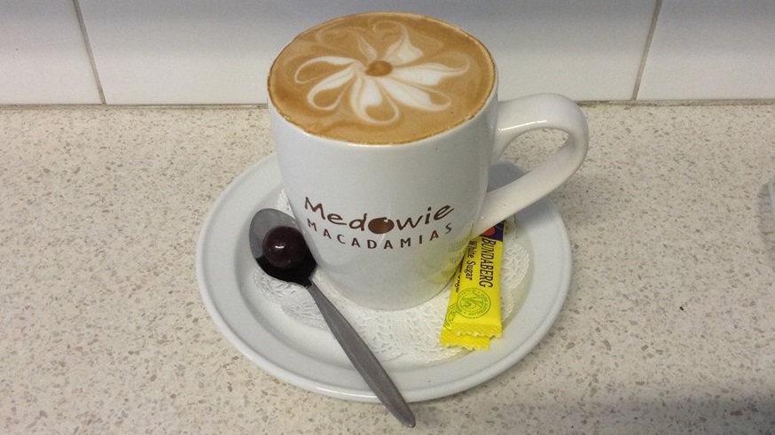 Organic coffee - Medowie Macadamias